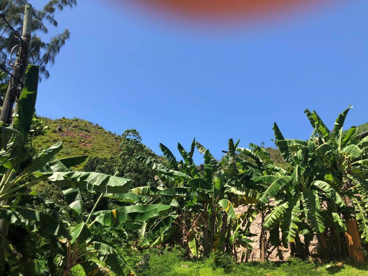 Mirella Villa Anse Volbert Village Εξωτερικό φωτογραφία