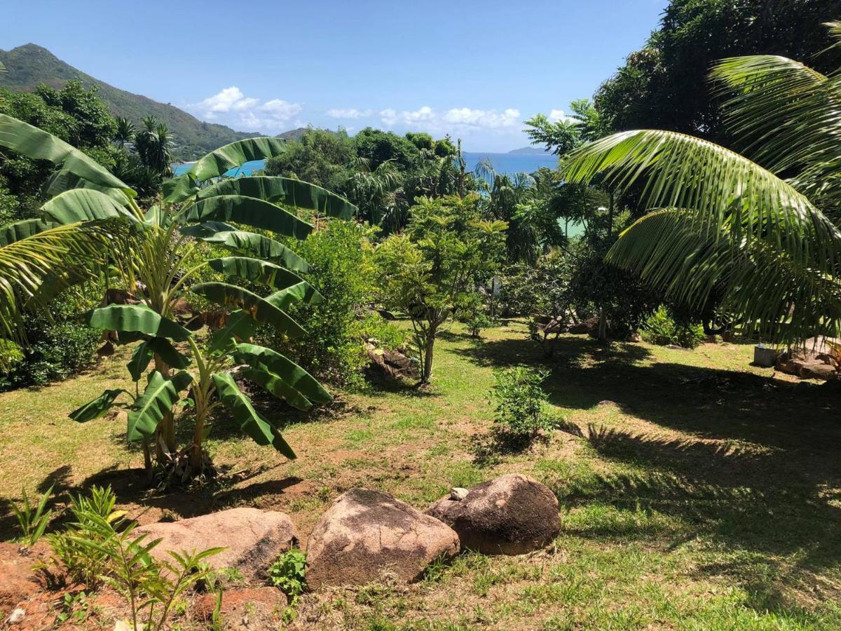 Mirella Villa Anse Volbert Village Εξωτερικό φωτογραφία